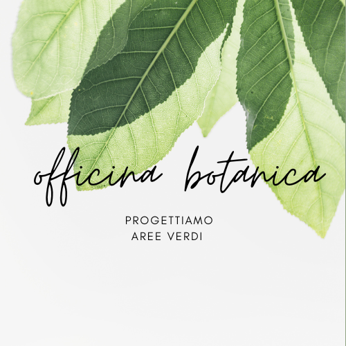 Officina Botanica